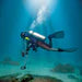 Fisher CZ-21 Quicksilver Scuba Metal Detector, Dual-Frequency | Waterproof up to 250ft