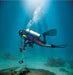 Fisher CZ-21 Quicksilver Dual-Frequency Underwater Detector  10" Coil