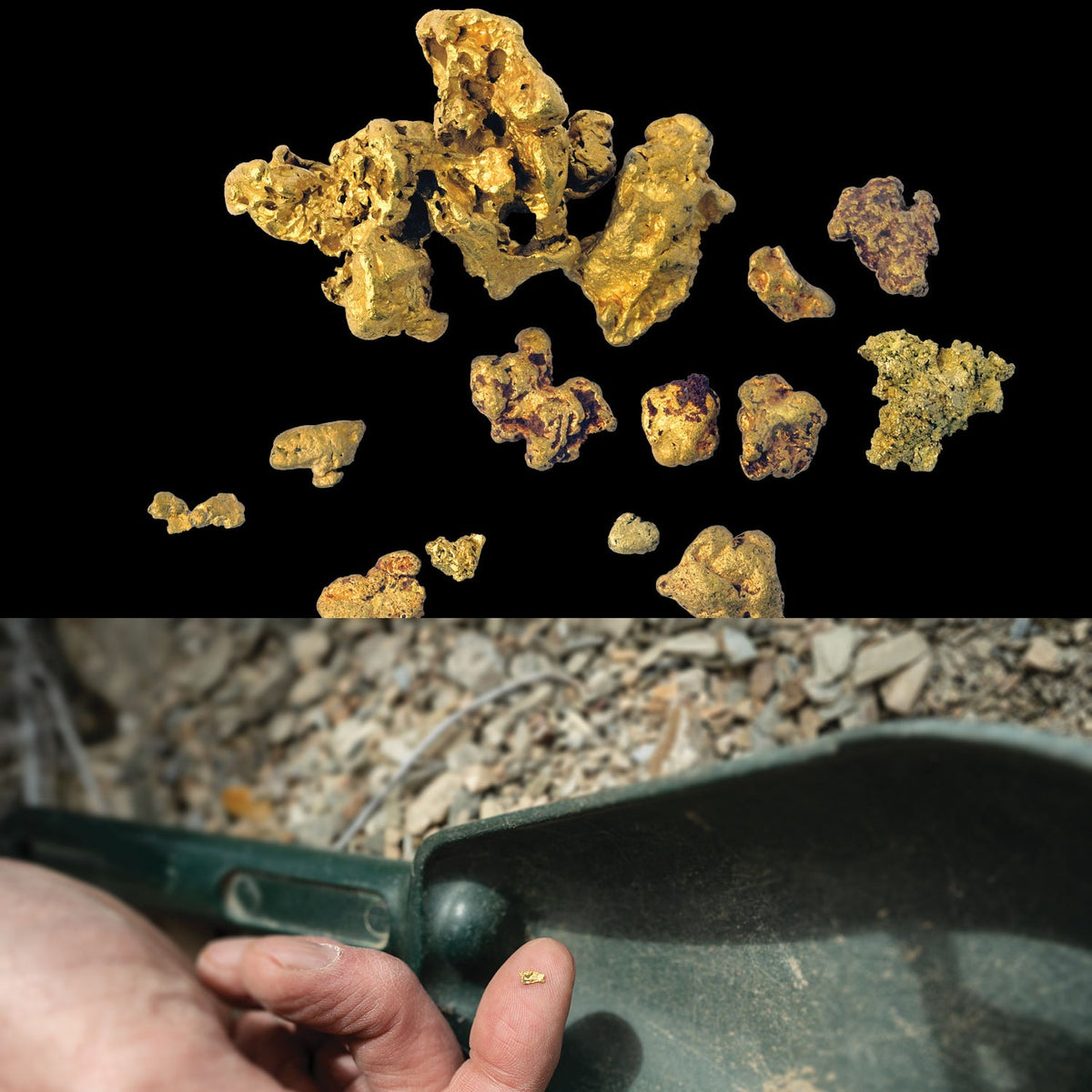 Garrett Goldmaster 24K Gold Metal Detector
